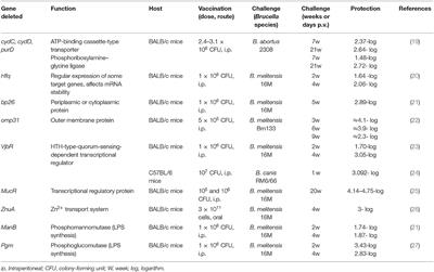 Evaluation of Brucellosis Vaccines: A Comprehensive Review